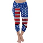 Usa-map-and-flag-on-cement-wall-texture-background-design-1591646654pet Capri Winter Leggings 