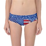 Usa-map-and-flag-on-cement-wall-texture-background-design-1591646654pet Classic Bikini Bottoms