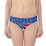 Usa-map-and-flag-on-cement-wall-texture-background-design-1591646654pet Hipster Bikini Bottoms