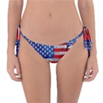 Usa-map-and-flag-on-cement-wall-texture-background-design-1591646654pet Reversible Bikini Bottom