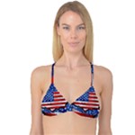 Usa-map-and-flag-on-cement-wall-texture-background-design-1591646654pet Reversible Tri Bikini Top