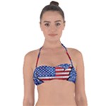 Usa-map-and-flag-on-cement-wall-texture-background-design-1591646654pet Halter Bandeau Bikini Top