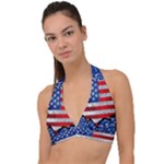 Usa-map-and-flag-on-cement-wall-texture-background-design-1591646654pet Halter Plunge Bikini Top