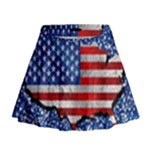 Usa-map-and-flag-on-cement-wall-texture-background-design-1591646654pet Mini Flare Skirt