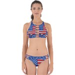 Usa-map-and-flag-on-cement-wall-texture-background-design-1591646654pet Perfectly Cut Out Bikini Set