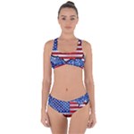 Usa-map-and-flag-on-cement-wall-texture-background-design-1591646654pet Criss Cross Bikini Set