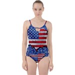 Usa-map-and-flag-on-cement-wall-texture-background-design-1591646654pet Cut Out Top Tankini Set