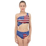 Usa-map-and-flag-on-cement-wall-texture-background-design-1591646654pet Spliced Up Two Piece Swimsuit