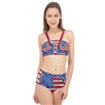 Usa-map-and-flag-on-cement-wall-texture-background-design-1591646654pet Cage Up Bikini Set