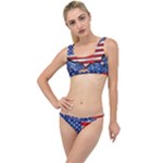 Usa-map-and-flag-on-cement-wall-texture-background-design-1591646654pet The Little Details Bikini Set