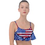 Usa-map-and-flag-on-cement-wall-texture-background-design-1591646654pet Frill Bikini Top