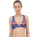 Usa-map-and-flag-on-cement-wall-texture-background-design-1591646654pet Classic Banded Bikini Top