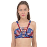 Usa-map-and-flag-on-cement-wall-texture-background-design-1591646654pet Cage Up Bikini Top