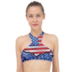 Usa-map-and-flag-on-cement-wall-texture-background-design-1591646654pet High Neck Bikini Top