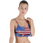 Usa-map-and-flag-on-cement-wall-texture-background-design-1591646654pet Layered Top Bikini Top 