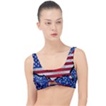 Usa-map-and-flag-on-cement-wall-texture-background-design-1591646654pet The Little Details Bikini Top