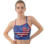 Usa-map-and-flag-on-cement-wall-texture-background-design-1591646654pet Mini Tank Bikini Top