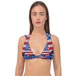 Usa-map-and-flag-on-cement-wall-texture-background-design-1591646654pet Double Strap Halter Bikini Top