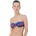 Usa-map-and-flag-on-cement-wall-texture-background-design-1591646654pet Classic Bandeau Bikini Top 