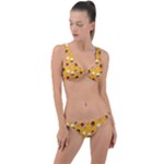 Ice cream on an orange background pattern                                                             Ring Detail Crop Bikini Set