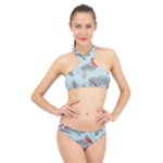 Christmas birds High Neck Bikini Set