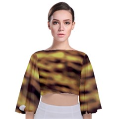 Tie Back Butterfly Sleeve Chiffon Top 