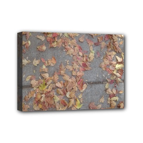 Sidewalk Leaves Mini Canvas 7  x 5  (Stretched) from ArtsNow.com