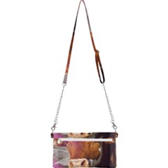 Mini Crossbody Handbag 