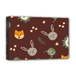 Rabbits, Owls And Cute Little Porcupines  Deluxe Canvas 18  x 12  (Stretched)