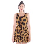 Leopard Print Spots Scoop Neck Skater Dress