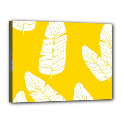 Yellow Banana Leaves Canvas 16  x 12  (Stretched) from ArtsNow.com