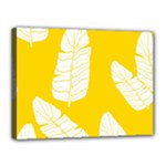 Yellow Banana Leaves Canvas 16  x 12  (Stretched)