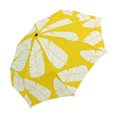 Folding Umbrella 