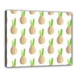 Succulent Vases  Canvas 20  x 16  (Stretched)