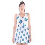 Little Blue Daisies  Scoop Neck Skater Dress