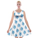 Little Blue Daisies  Velvet Skater Dress