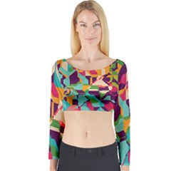 Long Sleeve Crop Top 