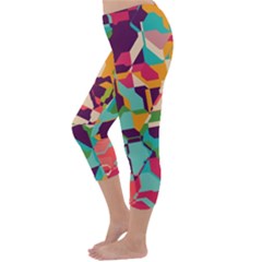 Capri Winter Leggings  Back