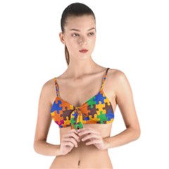 Tie Up Cut Bikini Top 