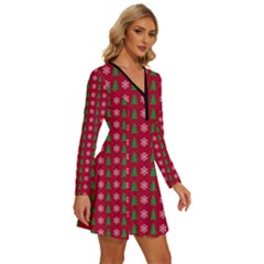 Long Sleeve Deep V Mini Dress  