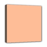 Peach Fuzz 2024 Mini Canvas 8  x 8  (Stretched)