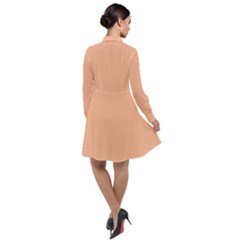 Long Sleeve Chiffon Shirt Dress 