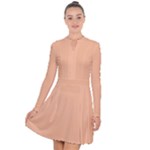 Peach Fuzz 2024 Long Sleeve Panel Dress