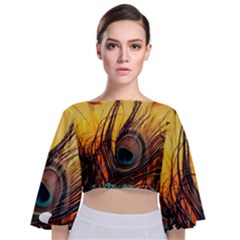 Tie Back Butterfly Sleeve Chiffon Top 