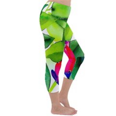 Capri Winter Leggings  