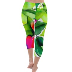 Capri Winter Leggings  