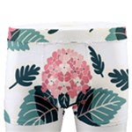 Flowers Hydrangeas Men s Boxer Briefs