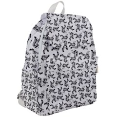 Top Flap Backpack 