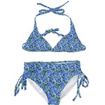 Blue Roses Garden Kids  Classic Bikini Set
