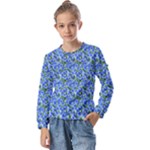 Blue Roses Garden Kids  Long Sleeve T-Shirt with Frill 